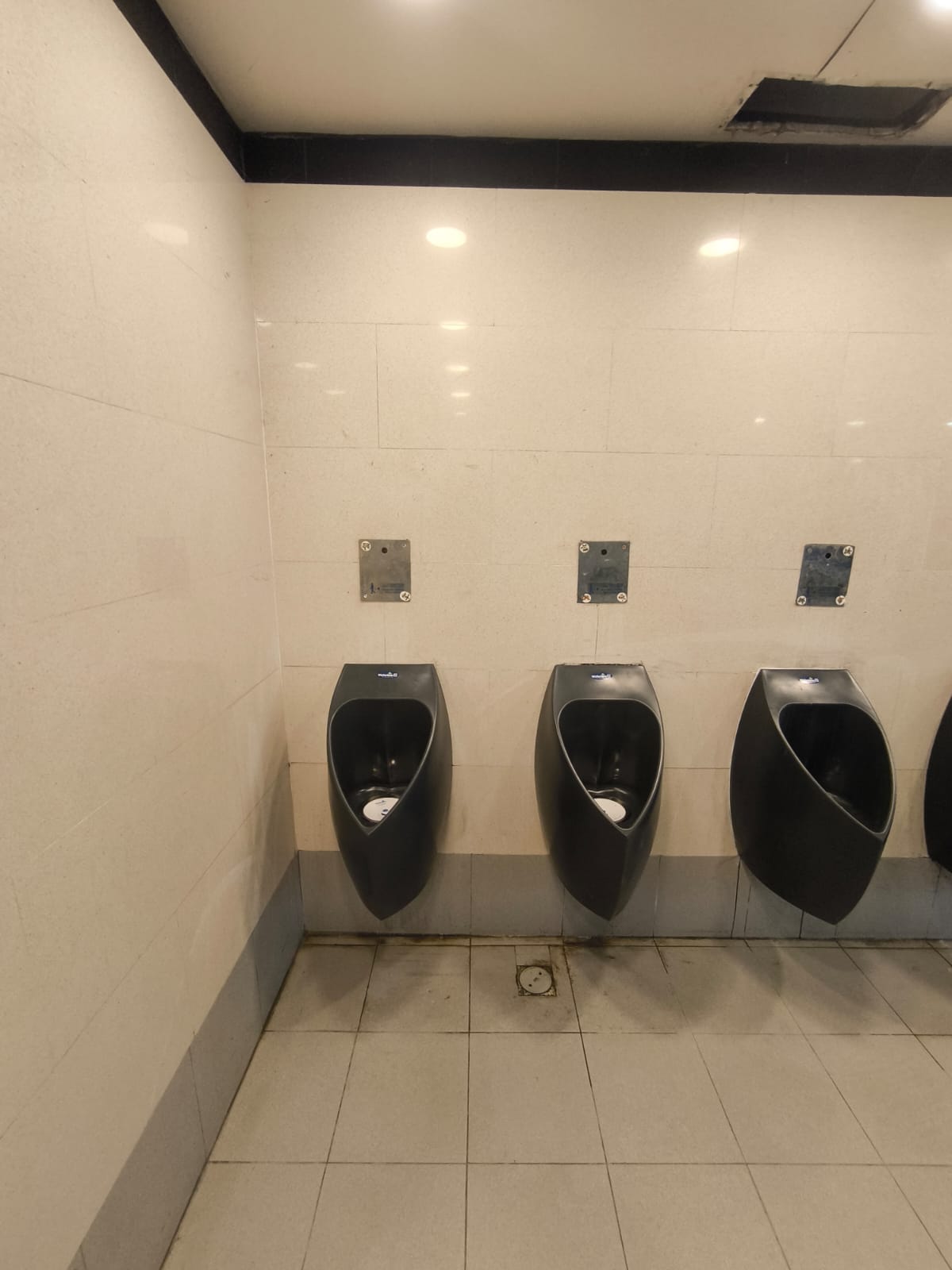 שורת משתנות ללא מים בשירותים ציבוריים גדולים