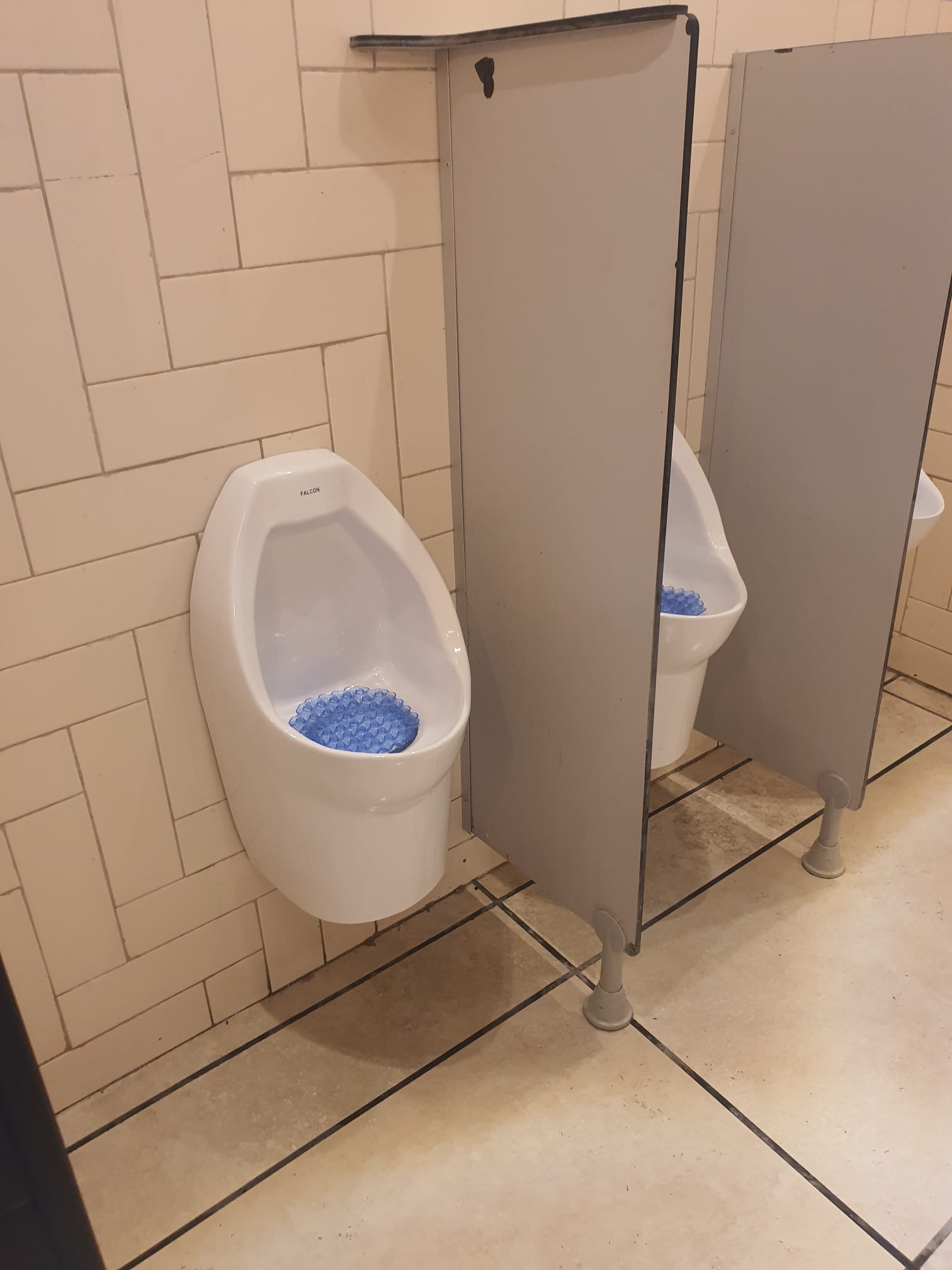 משתנות ללא מים לבנות עם מחיצות פרטיות